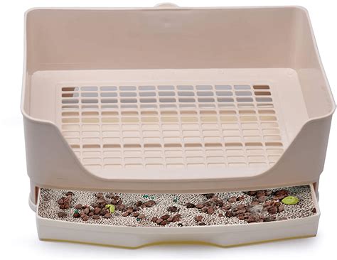 rabbit litter box